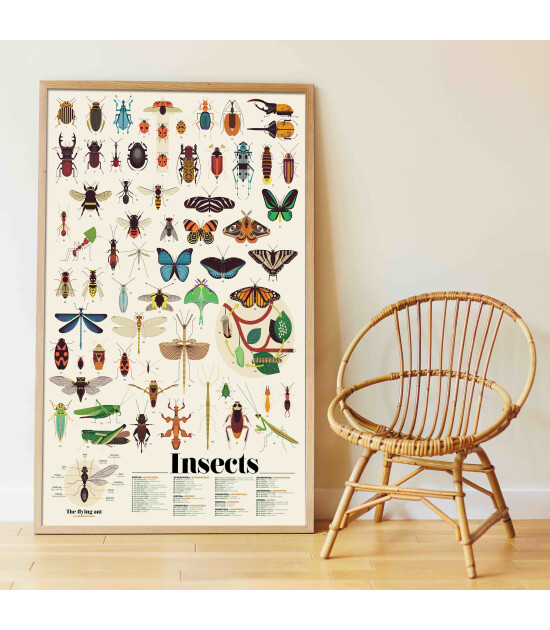 Poppik Discovery Sticker Poster // Insects