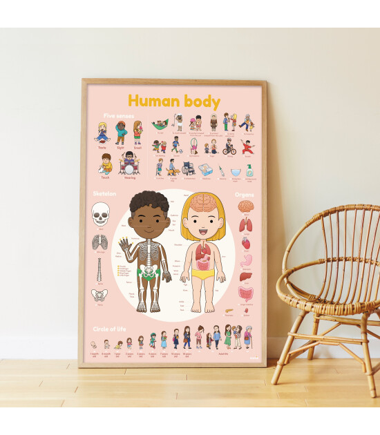Poppik Discovery Sticker Poster // Human Body
