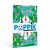 Poppik Discovery Sticker Poster // Dinosaurs