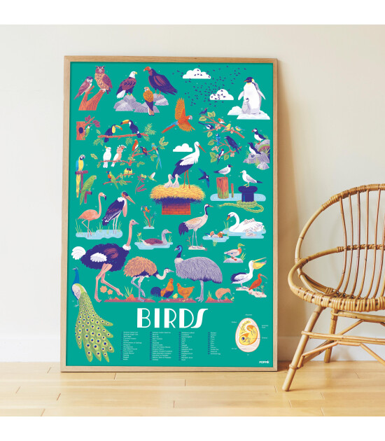 Poppik Discovery Sticker Poster // Birds