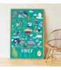 Poppik Discovery Sticker Poster // Birds