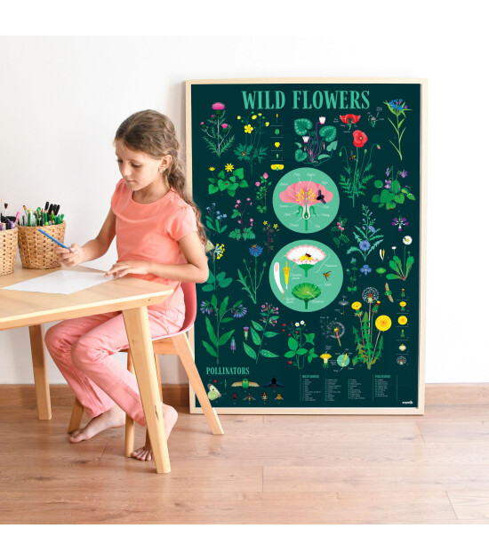 Poster Géant Poppik DIS016 Discovery Botanic - Activité Autocollants Plantes Et Insectes - À Partir De 7 Ans