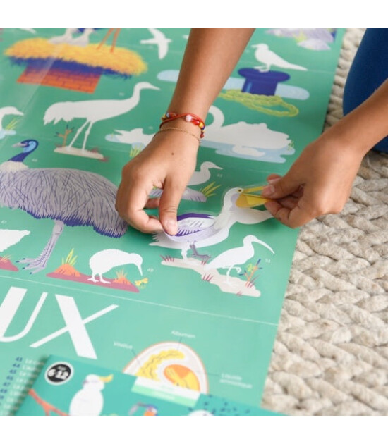 Poppik Discovery Sticker Poster // Birds