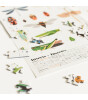 Poppik Puzzle with Poster // Insects (500 Parça)