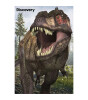 Prime 3D Discovery İkili Puzzle // TRex  Allosaurus (200 Par&ccedil;a)