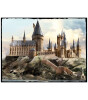 Prime 3D Harry Potter Çift Taraflı Puzzle 500 Parça