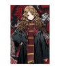 Prime 3D Harry Potter Puzzle 300 Parça // Hermione Granger Figür