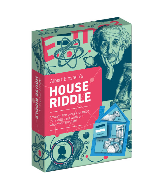 Professor Puzzle Zeka Oyunları // House Riddle