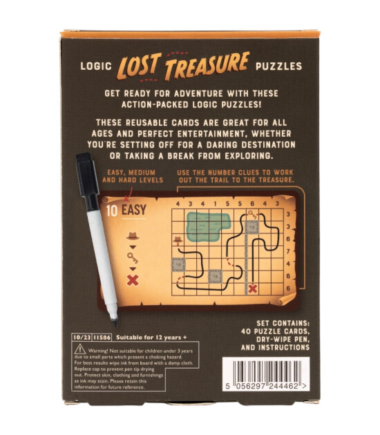 Professor Puzzle Mantık Bulmacaları // Lost Treasure