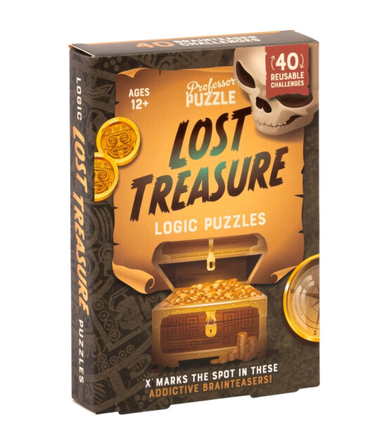 Professor Puzzle Mantık Bulmacaları // Lost Treasure