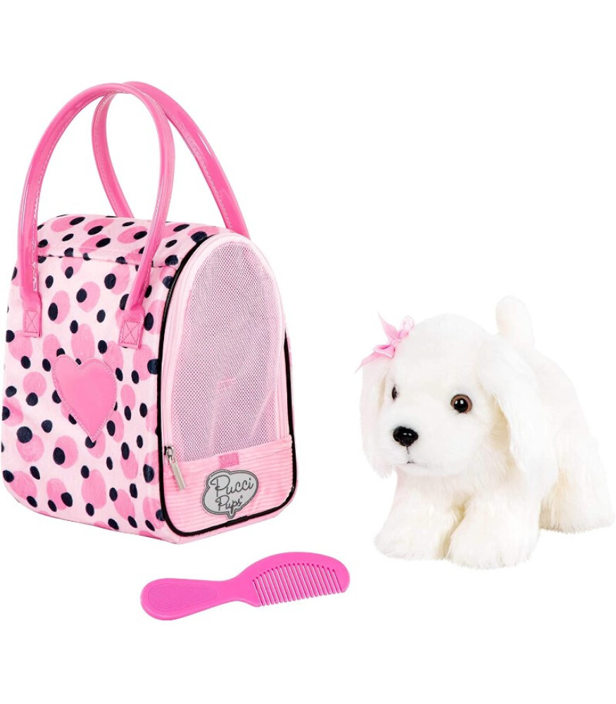 pucci-pups-maltese-ve-tarak-
