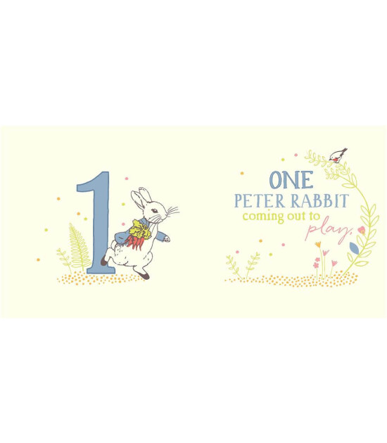 Warne Peter Rabbit 123