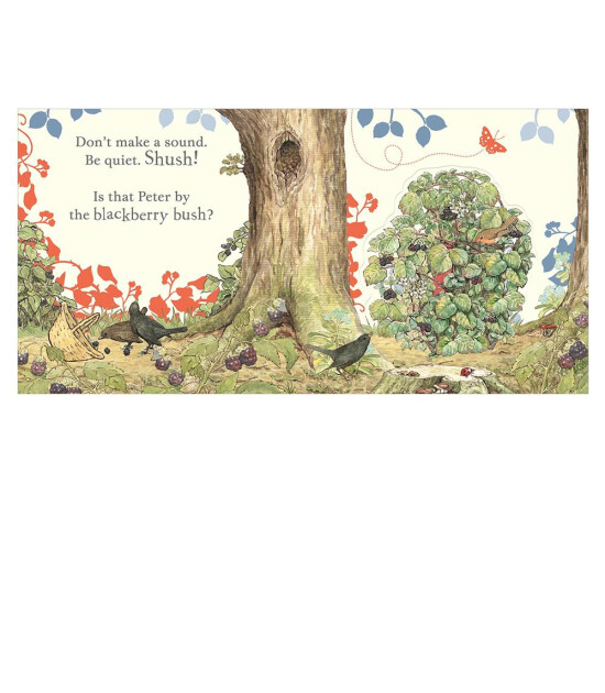 Warne Where is Peter Rabbit?