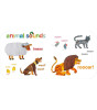 Penguin Random House Children's Uk The Very Hungry Caterpillar: Touch and Feel Playbook