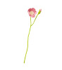 Rice Rafya Çiçek // Rose