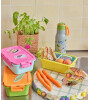 Rice Lunchbox 3 Bölmeli Yemek Kutusu // Pink - Mint