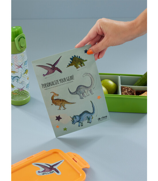 Rice Lunchbox Kişiselleştirme Sticker Set // Dino