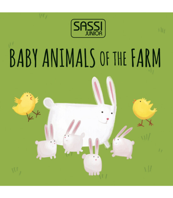 Sassi Junior Animal Blocks // Baby Animals Of The Farm