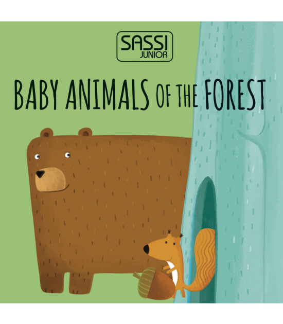 Sassi Junior Animal Blocks // Baby Animals Of The Forest