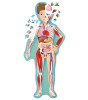 Sassi Junior Puzzle // The Human Body - Vücudumuz (200 + 10 Parça)