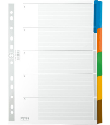 Serve Karton Ayraç Klasik A4 // 5 Renkli