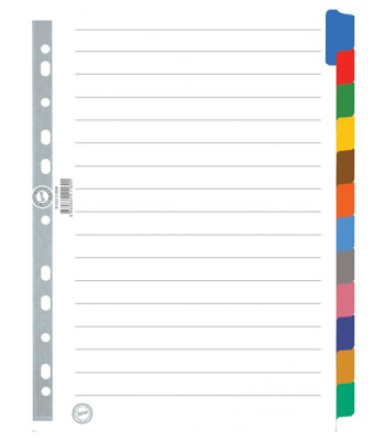 Serve Karton Ayraç Klasik A4 // 12 Renkli