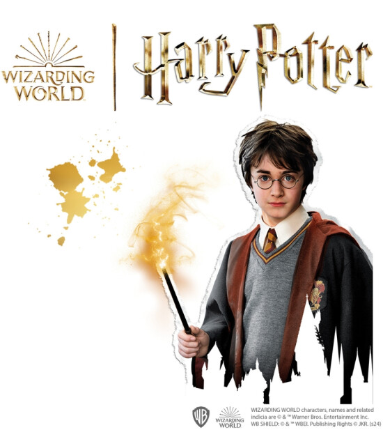 Ses Creative Taş Boyama // Harry Potter