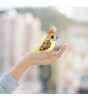 Silverlit Digibirds Tekli Paket Seri 2 - Model 4                           