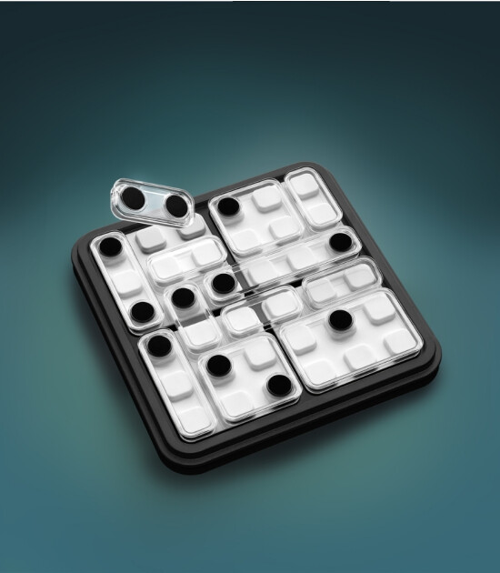 Smart Games Dice Deduction