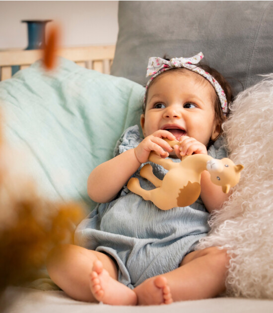 Sophie La Girafe Al'Thir Diş Kaşıyıcı