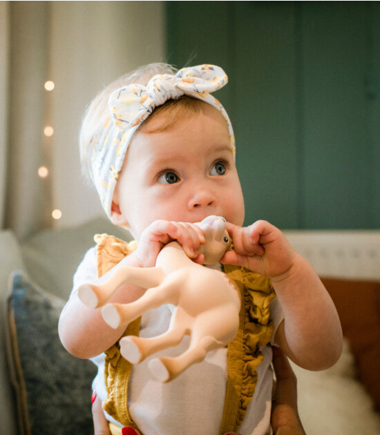 Sophie La Girafe Al'Thir Diş Kaşıyıcı