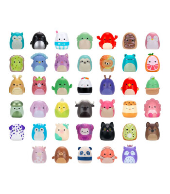 Squishmallows Squish-a-longs Mini-Squish (40 Adet)