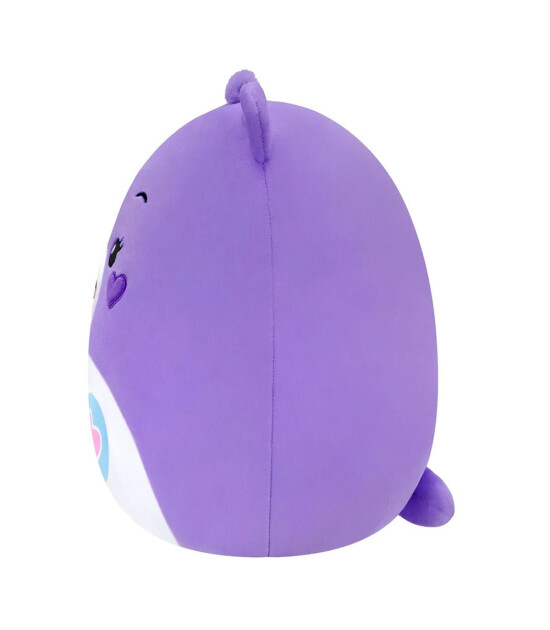 Squishmallows Care Bears Serisi Share Bear (25 cm)