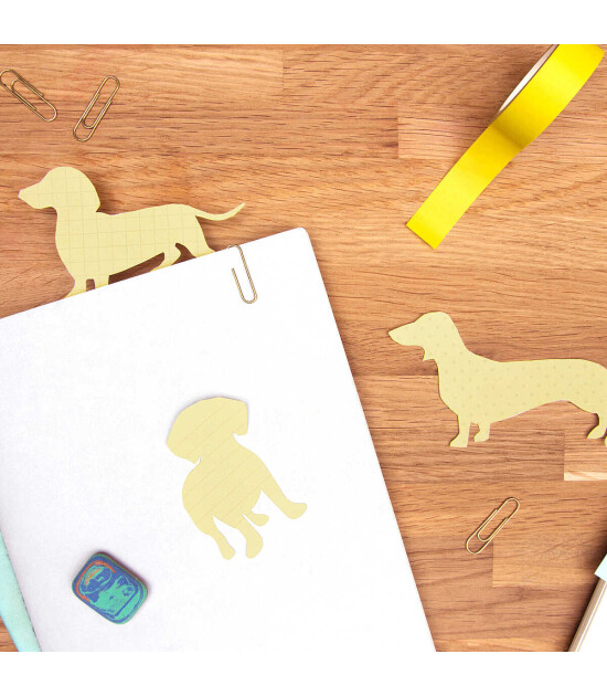 Suck Uk Yapışkanlı Notluk (3'l&uuml; Set) // K&ouml;pek