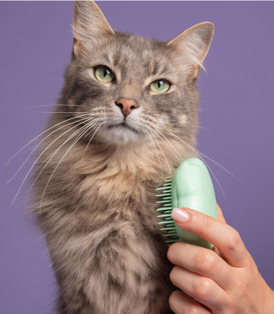 Tangle Teezer Cat Teezer & Cat Brush // Green