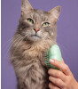 Tangle Teezer Cat Teezer & Cat Brush // Green
