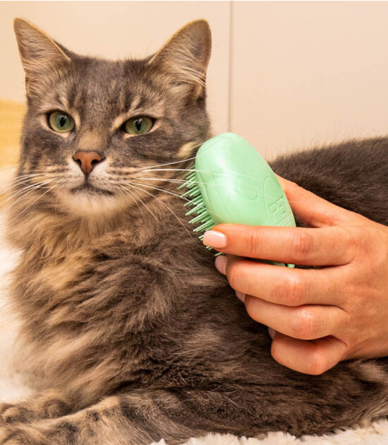 Tangle Teezer Cat Teezer & Cat Brush // Green