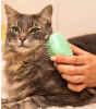 Tangle Teezer Cat Teezer & Cat Brush // Green