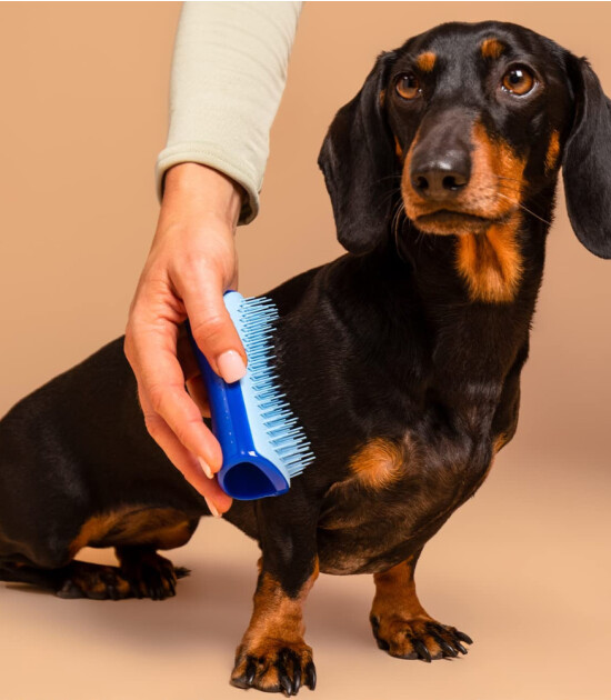 Tangle Teezer Pet Teezer Deshedding Small Brush // Blue & Light Blue