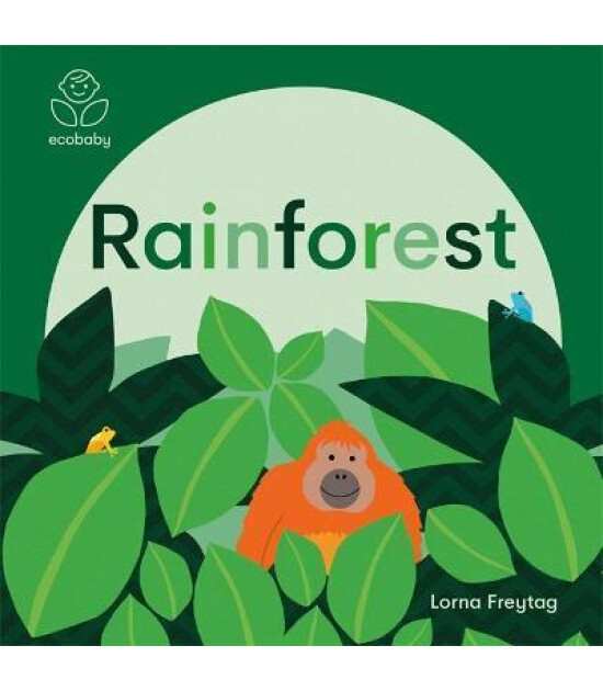 Templar Publishing Eco Baby: Rainforest