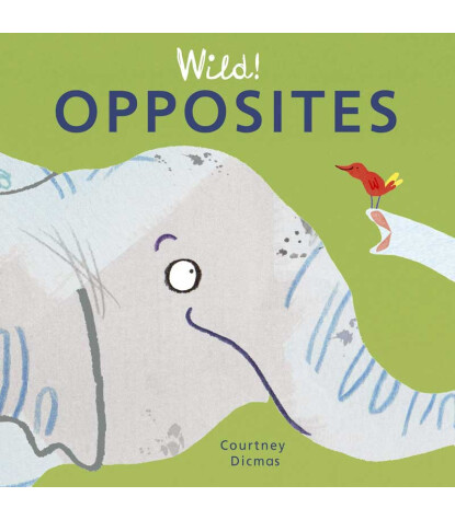 Thames & Hudson Opposites