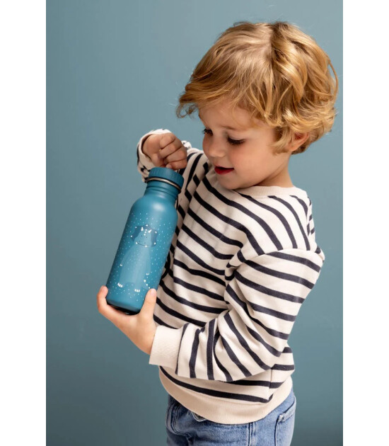 Trixie Paslanmaz Çelik Su Matarası (350 ml) // Mr. Triceratops