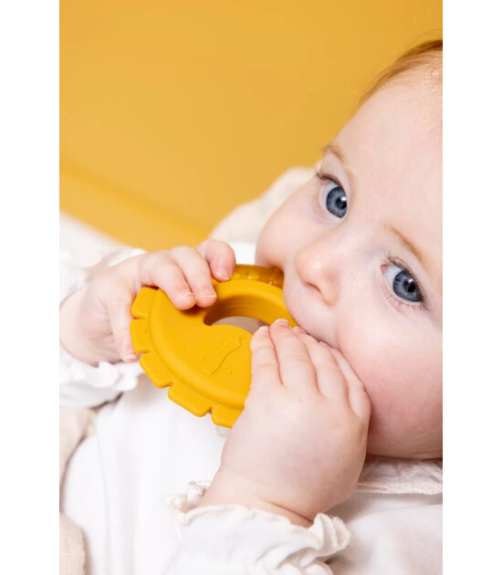 Trixie Serinletici Diş Kaşıyıcı // Mr. Lion