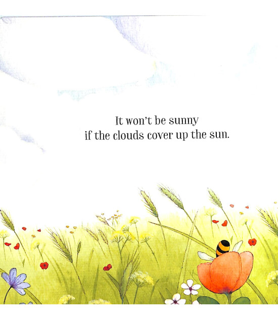 Usborne The Sunny Day