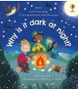 Usborne Publishing First Questions and Answers: Why is It Dark at Night?