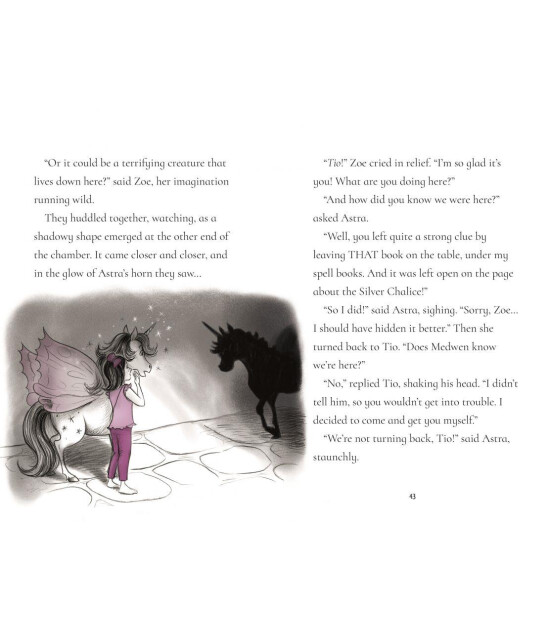 Usborne Publishing Fairy Unicorns: The Treasure Quest
