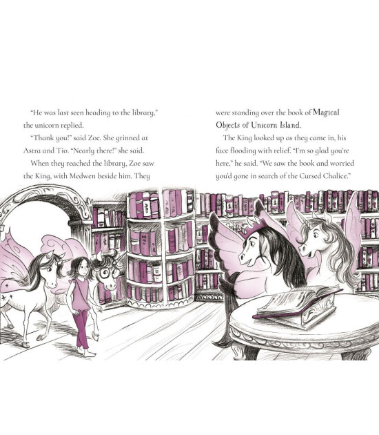 Usborne Publishing Fairy Unicorns: The Treasure Quest