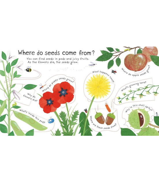 Usborne Publishing First Questions and Answers: How Do Flowers Grow?