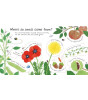 Usborne Publishing First Questions and Answers: How Do Flowers Grow?