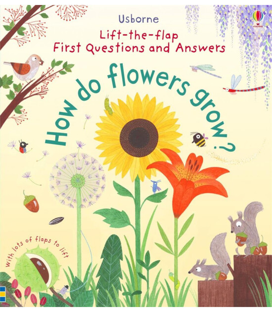 Usborne Publishing First Questions and Answers: How Do Flowers Grow?